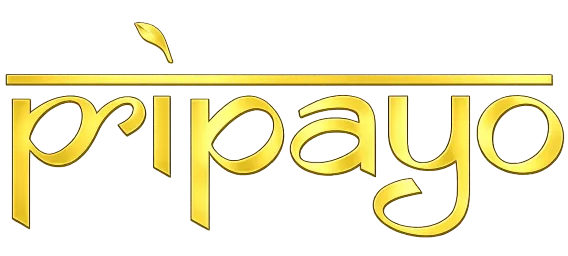 Pripayo Logo